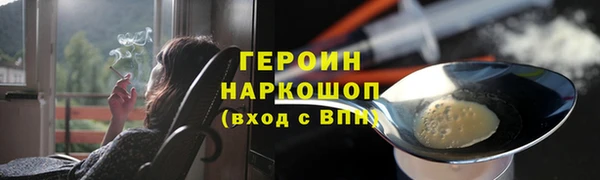 индика Богданович